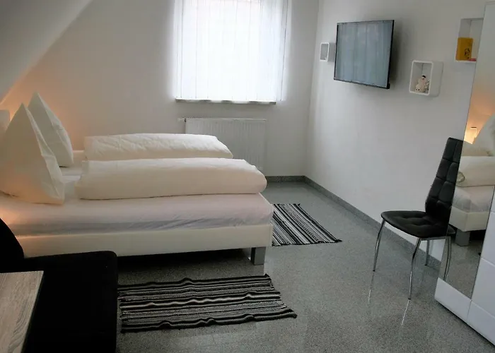 ホテル Haus Zum Schlosspark ファイツヘーヒハイム