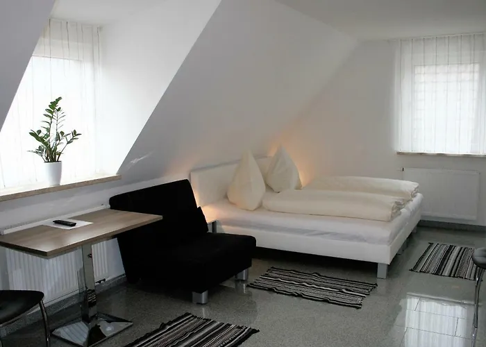 ホテル Haus Zum Schlosspark ファイツヘーヒハイム